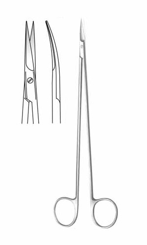 Dissecting Scissors